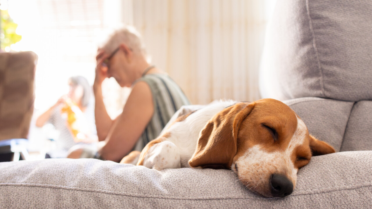 Poradna BNP Paribas Cardif Pojišťovny: Co dělat, když onemocníte a přijdete o příjem?